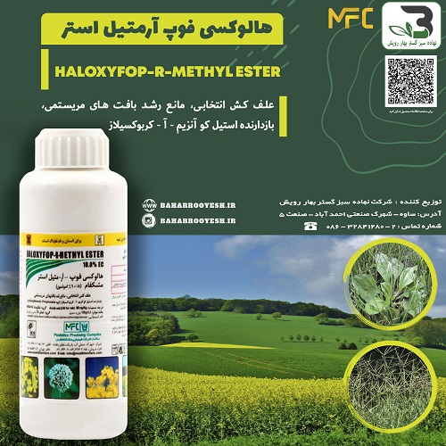 هالوکسی فوپ آرمتیل استر مشکفام