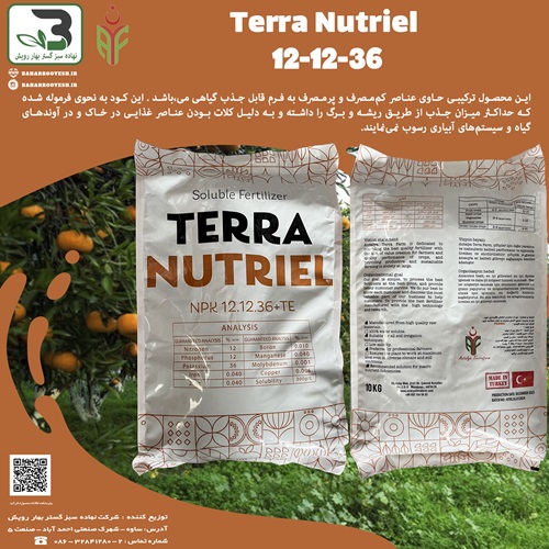کود 12-12-36 Terra Nutriel