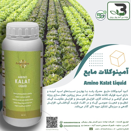 آمینوکلات مایع (گیاه)