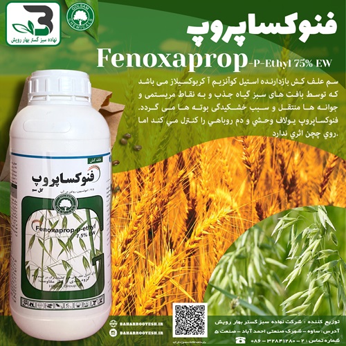 فنوكساپروپ (گل سم)
