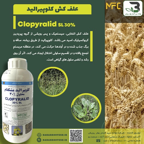 علف کش کلوپیرالید (مشکفام)