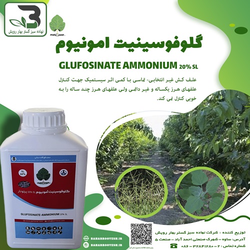 گلوفوسینیت امونیوم (پرتونار)