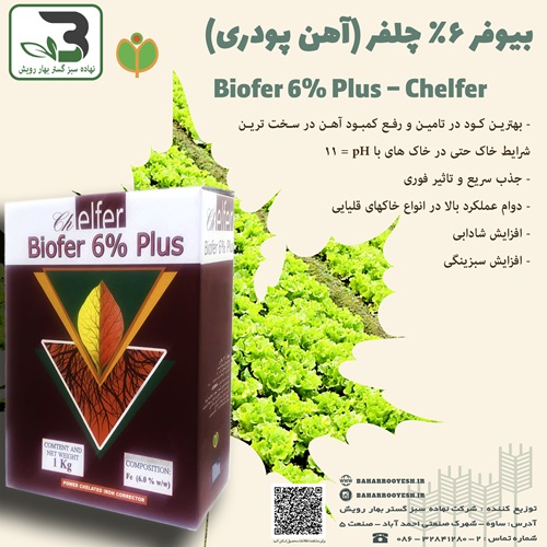 بیوفر 6% چلفر (آهن پودری) (سبزفام فیروزکوه)