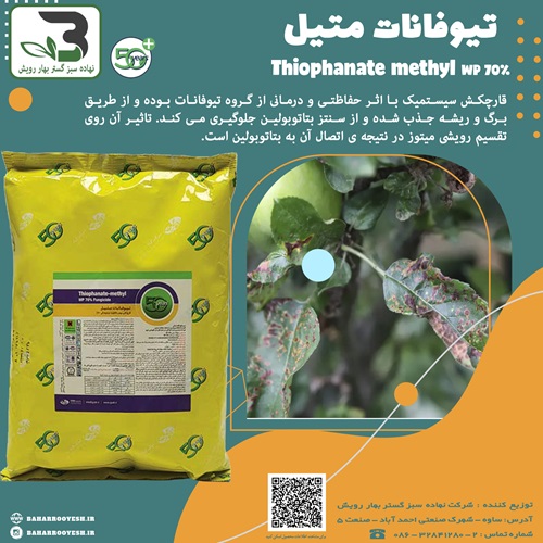 قارچ کش تیوفانات متیل (گیاه)