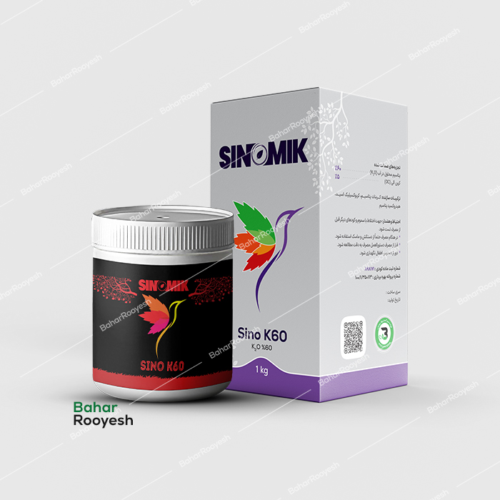 سینو کا60 سینومیک
