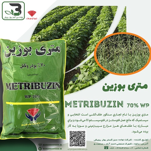 متری بوزین (کیمیا گوهر خاک)