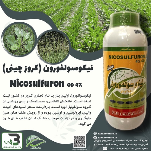 نیکوسولفورون (کروز چینی) (سرای سپند)