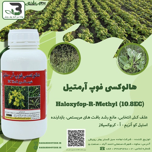 هالوکسی فوپ آرمتیل (شیماگرو)