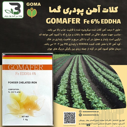 کلات آهن پودری گما (Fe 6% EDDHA) (سبزفام فیروزکوه)
