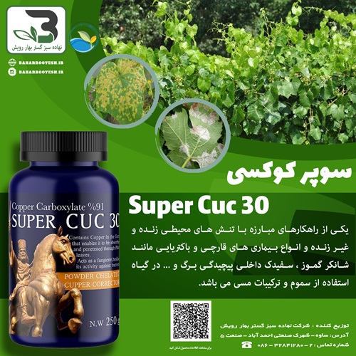 سوپر کوکسی (Super Cuc 30) (سبز آذر کاسپین)