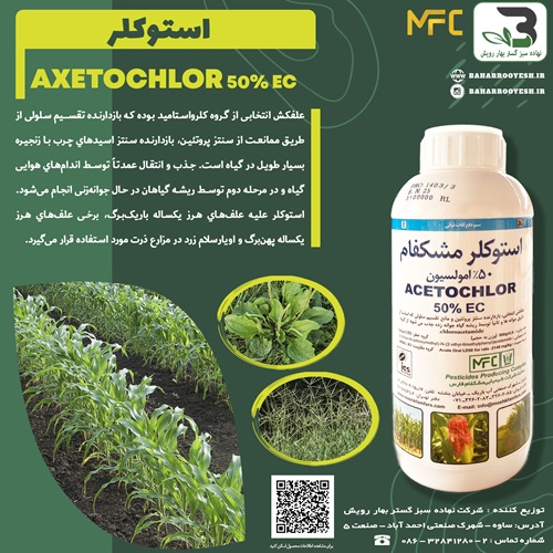استوکلر (مشکفام)