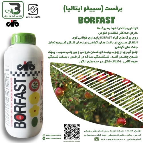 برفست (سیفو)