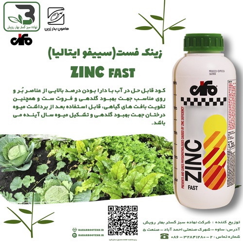 زینک فست (سیفو)