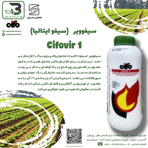 سیفوویر (سیفو)