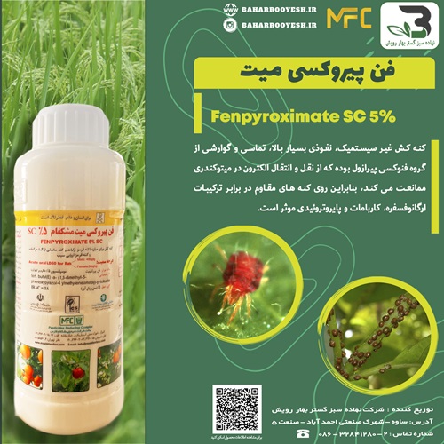 فن پيروكسي ميت (مشکفام)