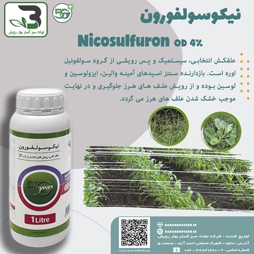 نیکوسولفورون (گیاه)