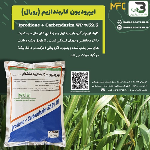 ایپرودیون کاربندازیم رورال 