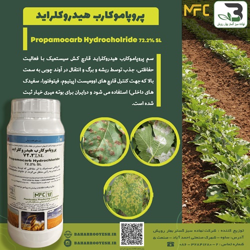 پروپاموکارب هیدروکلراید (اسکادران) (پروپلنت) مشکفام