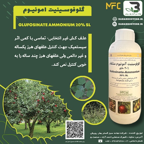 گلوفوسینیت امونیوم (مشکفام)