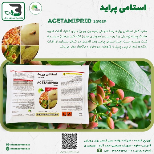 استامی پراید (موسپیلان) رها اندیش کاوان