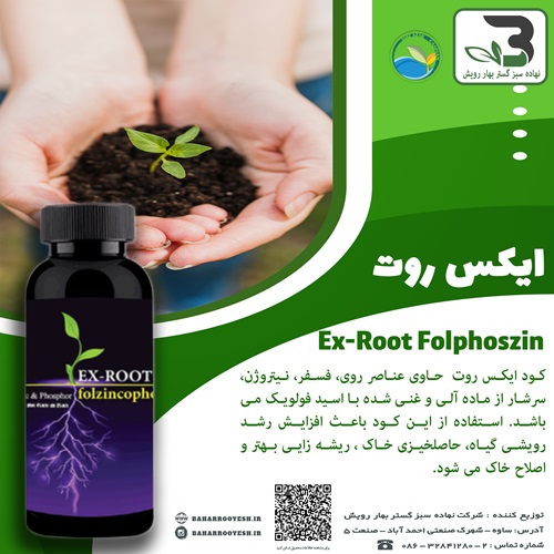 ایکس روت (Ex-Root) سبز آذر کاسپین