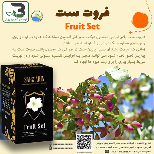 فروت ست (Fruit Set ) سبزآذر کاسپین