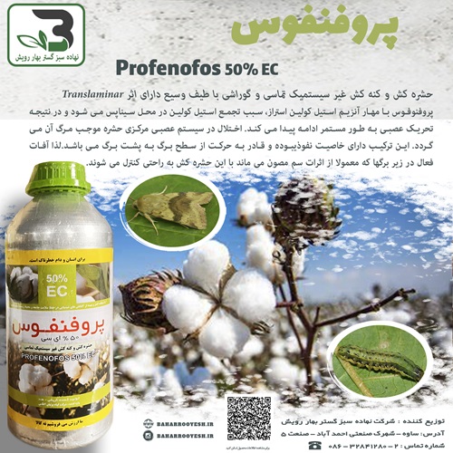 پروفنفوس کراکرون گیاه پرنیان اطلس