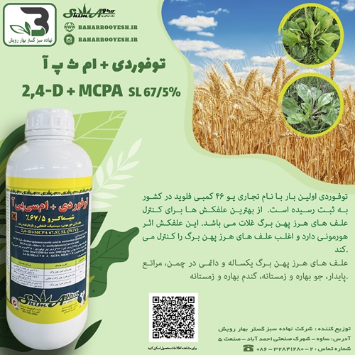 توفوردی + ام ث پ آ (پیراکشت)