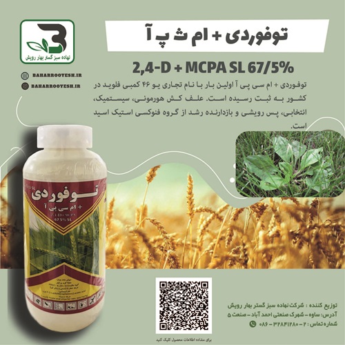 توفوردی + ام ث پ آ (زرین خوشه جنوب)