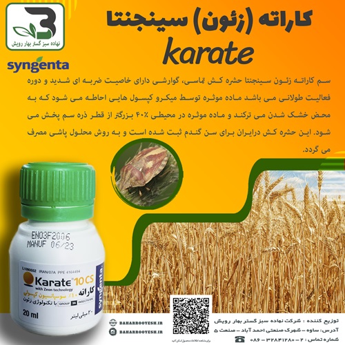 کاراته (زئون) (karate) سینجینتا