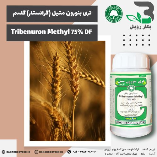 تری بنورون متیل (گرانستار) گلسم