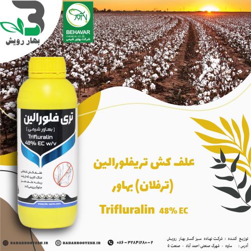علف کش تریفلورالین (ترفلان) بهاورشیمی