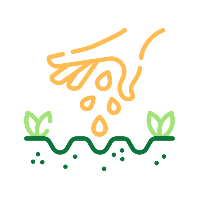 بذر